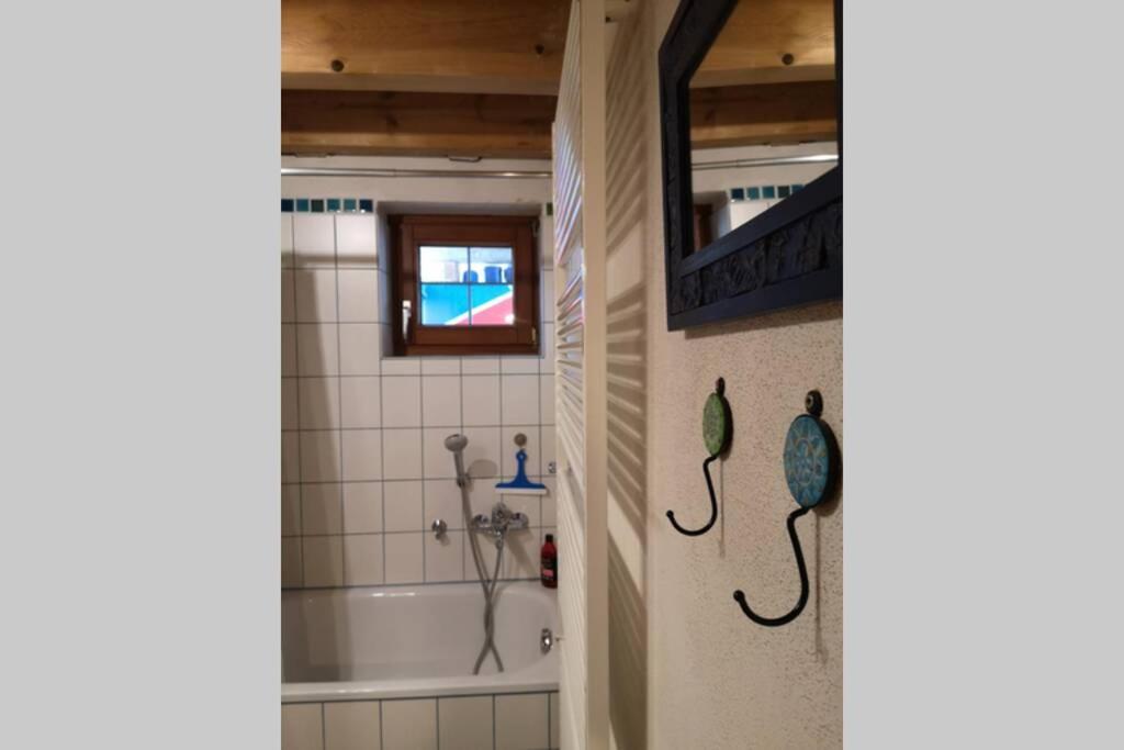 Seenah - Ihre Wohnung Am Bodensee / Untersee Gaienhofen  Extérieur photo